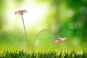 Who suffers from the problem and what to do about it?